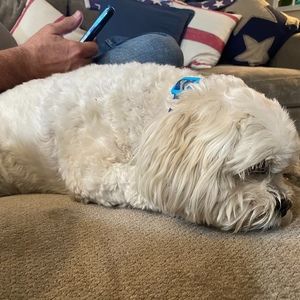 Meet your Posher, Denise